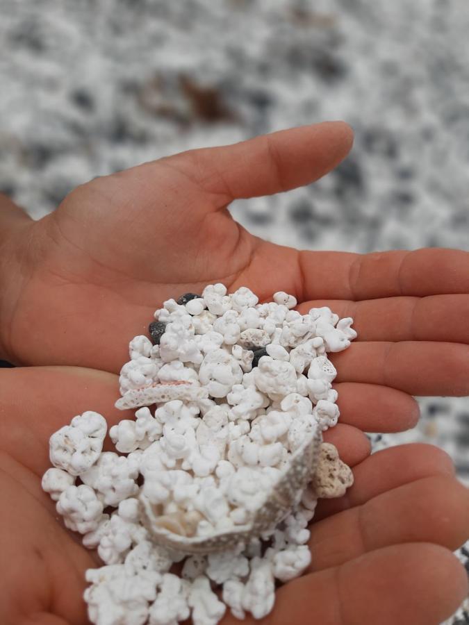 La Cueva Del Bounty Διαμέρισμα Puerto del Rosario  Εξωτερικό φωτογραφία